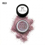 Shine On Glitter 813