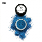 Shine On Glitter 817