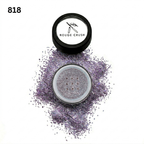Shine On Glitter 818