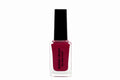 Nail Paints - 121